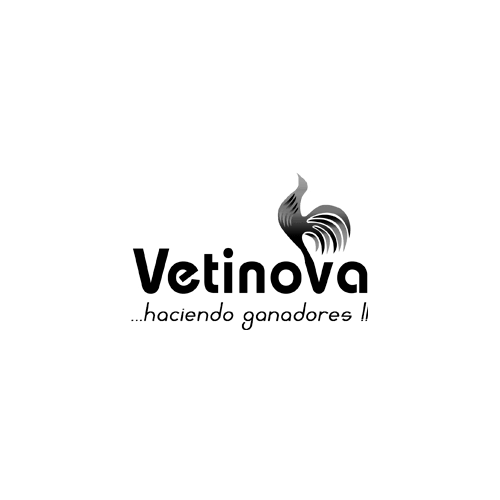 Vetinova